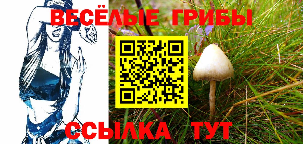 Псилоцибиновые грибы мухоморы Лянтор